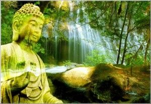 Đôi điều về câu “Ăn quả nhớ kẻ trồng cây”