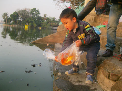 Văn khấn và phương pháp “phóng sinh” đơn giản, hiệu quả nhất