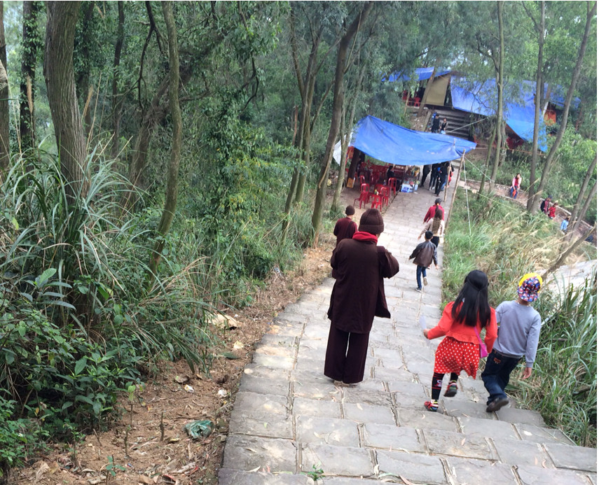 Tội lỗi của việc “giả sư”