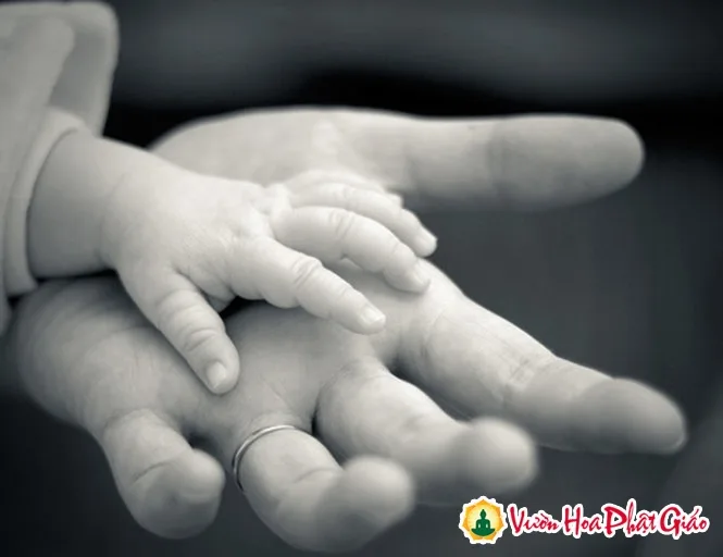 Chữ Hiếu và đạo Hiếu qua lời Phật dạy