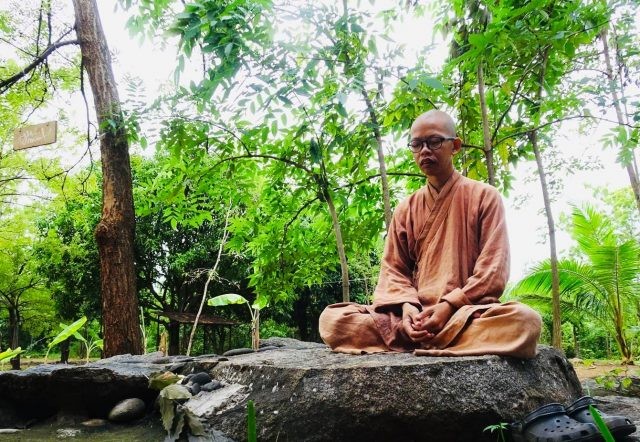 Không dừng cũng không vội-0