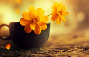 30 câu cảm ngộ nhân sinh thay đổi số phận con người