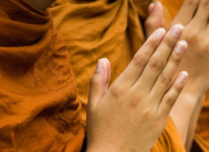 Đừng ham hành đạo sớm