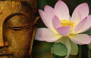 Đây là 10 điều tiếc nuối của 1000 người trước khi chết