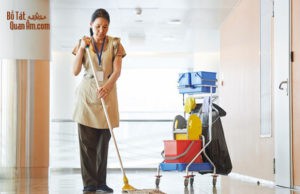 Chuyện người giúp việc mua trái cây am-ma-la