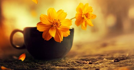 30 câu nói thay đổi số phận con người