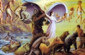 Tin sâu nhân quả nghiệp báo là người có trí tuệ