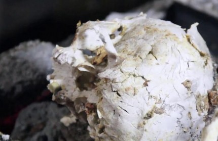 Xá lợi xương đầu tiên và duy nhất trên thế giới