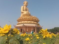 Nghệ An: Chiêm ngưỡng vẻ đẹp tượng Thích Ca Mâu Ni cao 42m