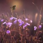 Không sợ hãi mới thật sự trưởng thành