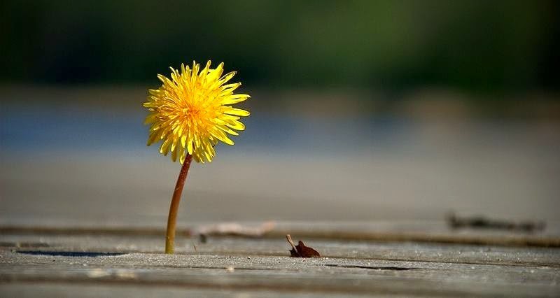 Tự trọng - vốn đạo đức quý giá của mỗi người