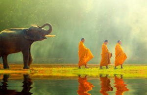 8 cách sống hiểu ra từ đức Phật giúp bạn luôn vui vẻ, xinh đẹp “Từ Trong Ra Ngoài”