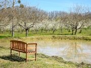 Nuôi dưỡng tự do