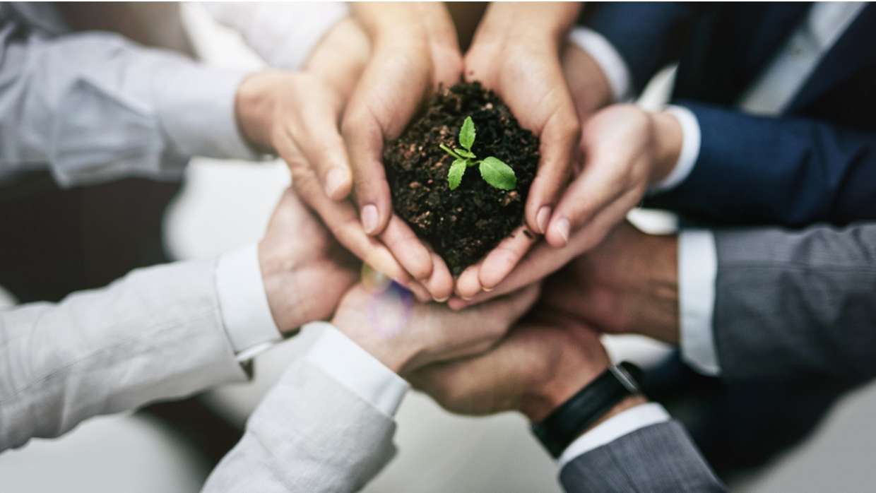 Phúc họa cũng từ đây-0