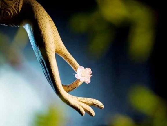 Suy nghĩ về khái niệm giải thoát sinh tử trong Đạo Phật