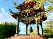 Mỉm cười với năng lượng tập khí của bạn