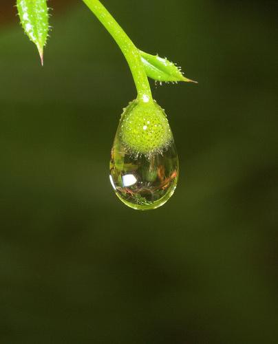 Giá trị của Vô thường