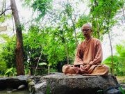 Không dừng cũng không vội