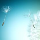 Khi bị lừa gạt