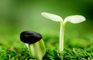 Những câu chuyện thâm thúy về cuộc đời, đọc xong bạn sẽ ngộ ra được nhiều điều