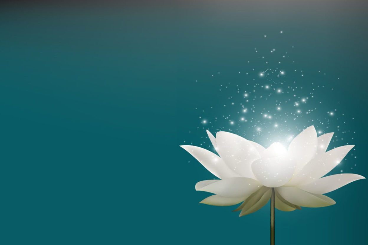 Muốn hồi hướng công đức phải làm sao?-0