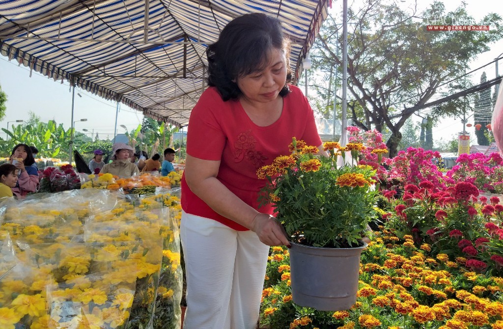 Tết trong tôi là...-0