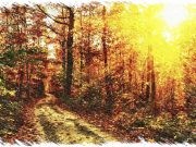 Bình yên trong bốn mùa