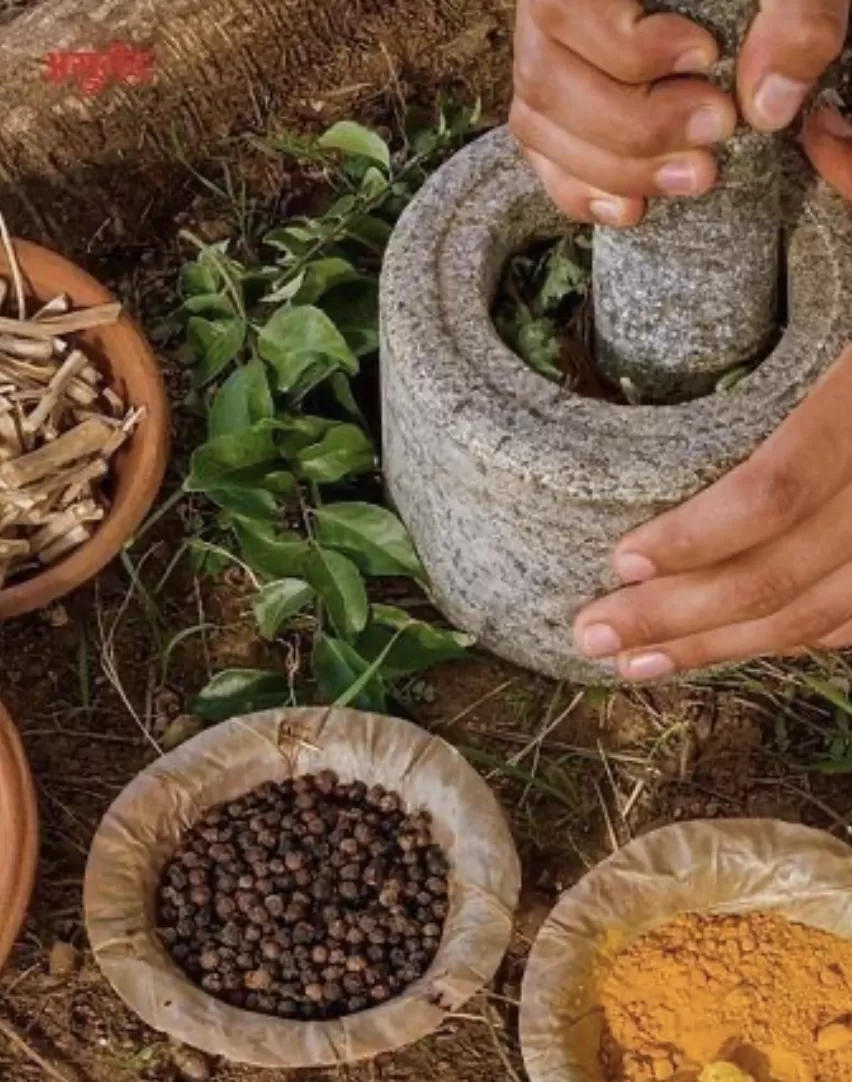 Chỉ là một cội cây: 04. Lọ thuốc