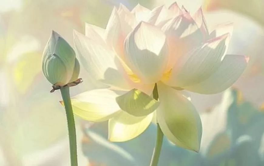 Nhạc: Hải Triều Âm