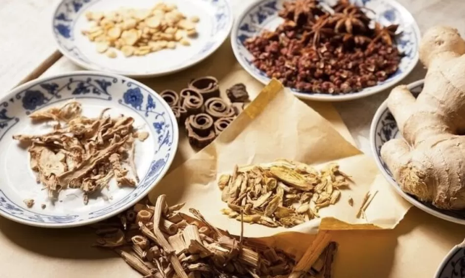 41 Bài thuốc trị bệnh về Tai