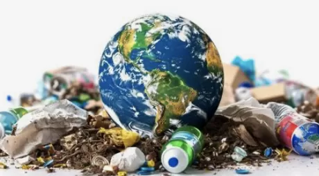 Chỉ là một cội cây: 19. Phân bón