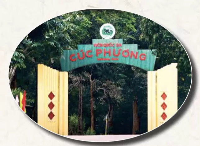 Thơ: Thăm rừng Cúc Phương