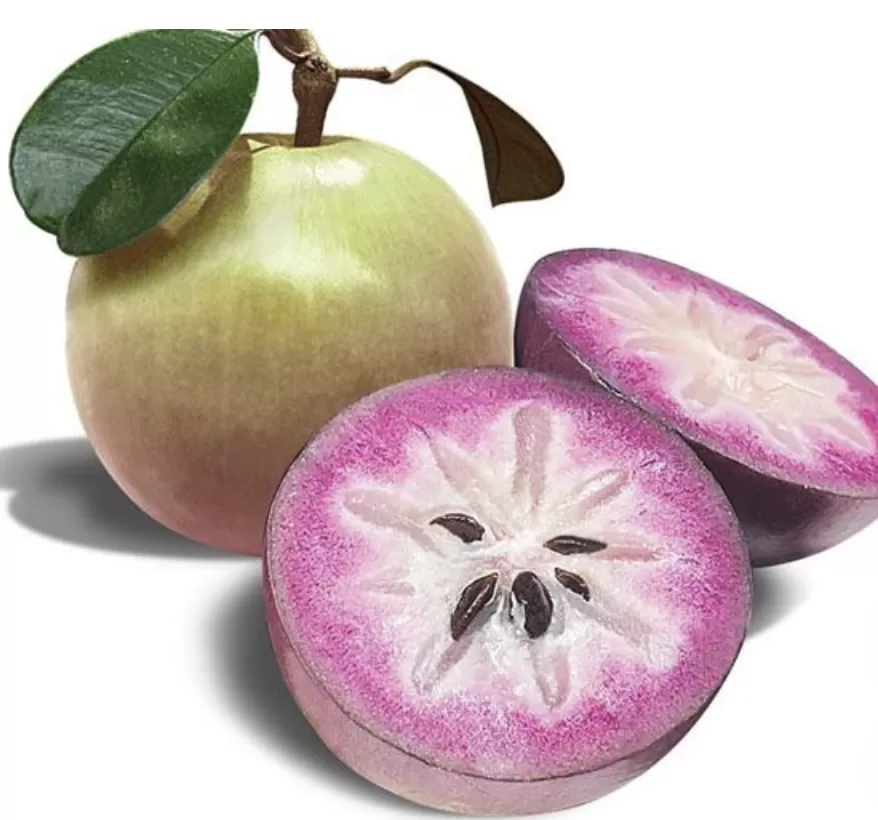 Sự tích cây vú sữa